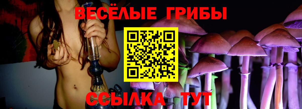 Псилоцибиновые грибы прущие грибы Лабытнанги
